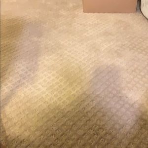 Meet your Posher, Eli